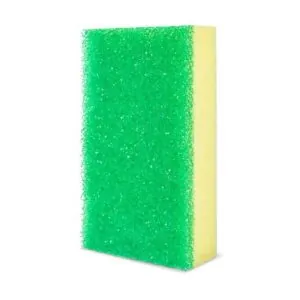 Sponge With Sponge